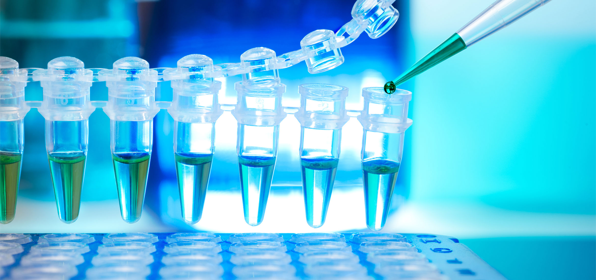 AP2ReferenceLabHeader American Pathology Partners American